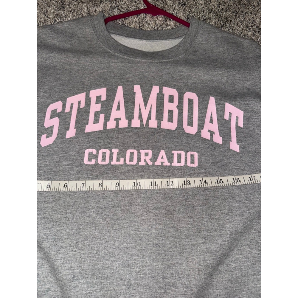 Women's Fruit of the Loom Steamboat Colorado Sweatshirt Grey Pink M​ - Picture 3 of 6